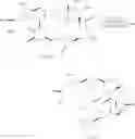 Fig. 25 - Methods useful in the synthesis of halichondrin B analogs
