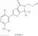 Fig. 21 - ERK inhibitors