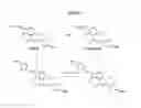 Fig. 08 - 7-AMINOCEPHEM DERIVATIVE COMPOUNDS