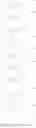 Fig. 179 - Imidazothiazole sufonamides as nematicides