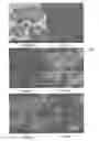 Fig. 12 - Synthesis of antimicrobial silsesquioxane-silica hybrids