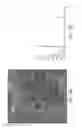 Fig. 11 - Preparation of graphitic C3N3P material
