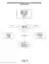 Fig. 11 - Forms of R)-3-(4-(2-(2-methyltetrazol-5-yl)pyridin-5-yl)-3-fluorophenyl)-5-hydroxymethyl oxazolidin-2-one dihydrogen phosphate