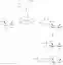 Fig. 86 - Substituted nucleosides, nucleotides and analogs thereof