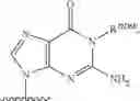 Fig. 106 - Substituted nucleosides, nucleotides and analogs thereof