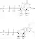 Fig. 146 - Substituted nucleosides, nucleotides and analogs thereof