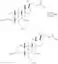 Fig. 580 - Bile Acid Derivatives as FXR/TGR5 Agonists and Methods of Use Thereof