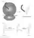 Fig. 02 - CELL SPECIFIC LABELING OF NEWLY SYNTHESIZED PROTEINS