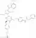 Fig. 08 - CELL SPECIFIC LABELING OF NEWLY SYNTHESIZED PROTEINS