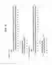 Fig. 11 - PEPTIDES AND RELATED MOLECULES THAT BIND TO TALL-1