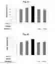 Fig. 05 - Peptide for suppressing osteoclast differentiation and use thereof