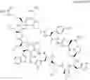 Fig. 13 - Immunomodulators