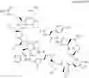 Fig. 14 - Immunomodulators