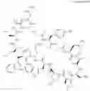 Fig. 16 - Immunomodulators