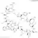 Fig. 17 - Immunomodulators