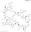 Fig. 20 - Immunomodulators