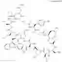 Fig. 24 - Immunomodulators