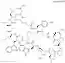Fig. 26 - Immunomodulators