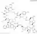 Fig. 27 - Immunomodulators