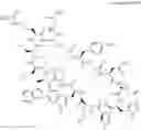 Fig. 29 - Immunomodulators