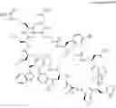 Fig. 32 - Immunomodulators