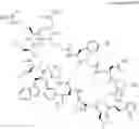 Fig. 33 - Immunomodulators