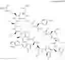 Fig. 35 - Immunomodulators