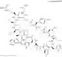 Fig. 37 - Immunomodulators