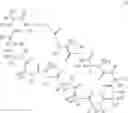 Fig. 38 - Immunomodulators
