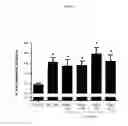 Fig. 03 - Bradykinin receptor modulators and use thereof