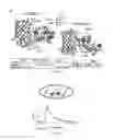 Fig. 02 - Red genetically encoded calcium indicators and methods of use