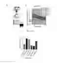 Fig. 11 - Red genetically encoded calcium indicators and methods of use