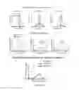 Fig. 12 - Red genetically encoded calcium indicators and methods of use