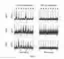 Fig. 18 - Red genetically encoded calcium indicators and methods of use
