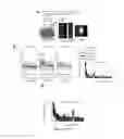 Fig. 20 - Red genetically encoded calcium indicators and methods of use