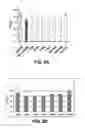 Fig. 03 - FILIP1L compositions and methods for treating cancer