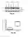 Fig. 07 - FILIP1L compositions and methods for treating cancer