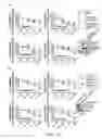 Fig. 08 - MPS peptides and use thereof