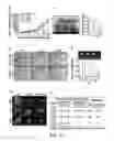 Fig. 14 - MPS peptides and use thereof