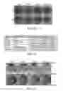 Fig. 19 - MPS peptides and use thereof