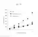 Fig. 14 - Partial region polypeptide of REIC/Dkk-3 protein