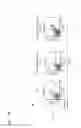 Fig. 35 - Partial region polypeptide of REIC/Dkk-3 protein