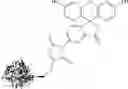 Fig. 128 - Reversible covalent linkage of functional molecules