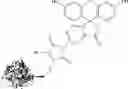 Fig. 130 - Reversible covalent linkage of functional molecules