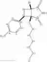 Fig. 154 - Reversible covalent linkage of functional molecules