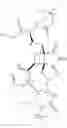 Fig. 169 - Reversible covalent linkage of functional molecules