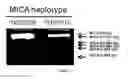 Fig. 02 - NOVEL ALTERNATIVE SPLICE TRANSCRIPTS FOR MHC CLASS I RELATED CHAIN ALPHA (MICA) AND USES THEREOF