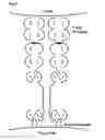 Fig. 06 - OLIGOMERIC RECEPTOR LIGAND PAIR MEMBER COMPLEXES