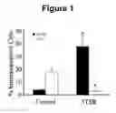 Fig. 02 - Thrombospondin-1 polypeptides and methods of using same