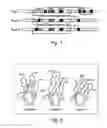 Fig. 02 - Synthetic library of specific binding molecules